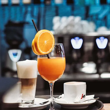 Ibis Poznan Polnoc